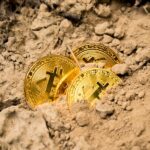 Photo "check bitcoin price"