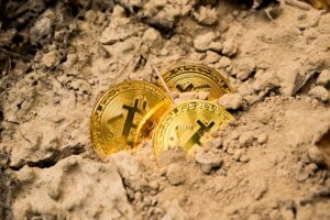 Photo "check bitcoin price"